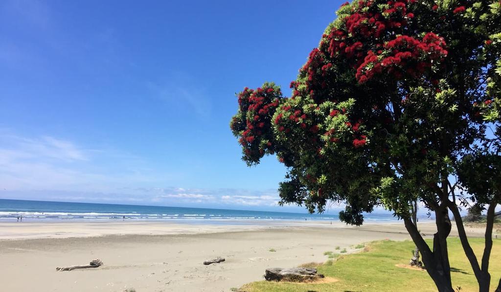 Whakatane Hotel Eksteriør bilde